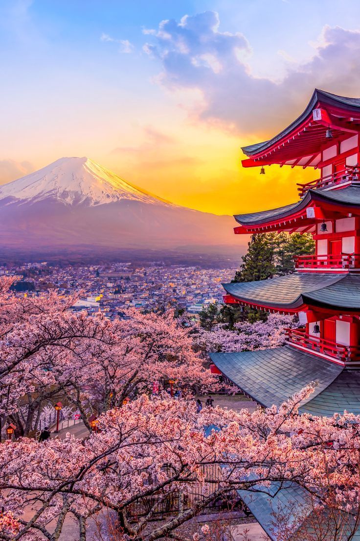 [Imagen de Templo en Kioto, Japón]